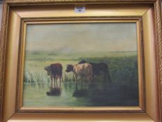 Cattle in water oil on canvas unsigned