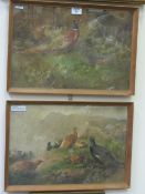 Pheasants and Grouse, pair watercolours indistinctly signed