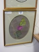Butterfly on a Thistle, pencil and gouache signed and dated '93 by Jane Braithwaite
