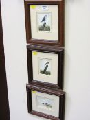 'Owl', 'Robin' and 'Mallard' three miniature watercolours by David M.Hinchcliff initialled and dated