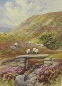 Mary Weatherill (British 1834-1913): Yorkshire Moors, watercolour signed, titled on original label