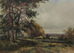 David Hill (British early 20th century): 'Storrington Common', watercolour signed, titled verso