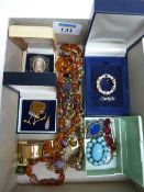 Amber necklace, hardstone brooch and costume jewellery in one box