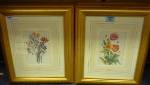Four prints of floral sprays, framed and glazed