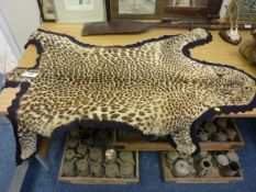 Full leopard skin rug, early 20th Century, fully backed