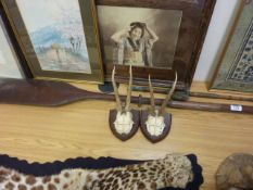 Two pairs of mounted antlers 'Mounces 26.5.67' with a paddle and fishing rod