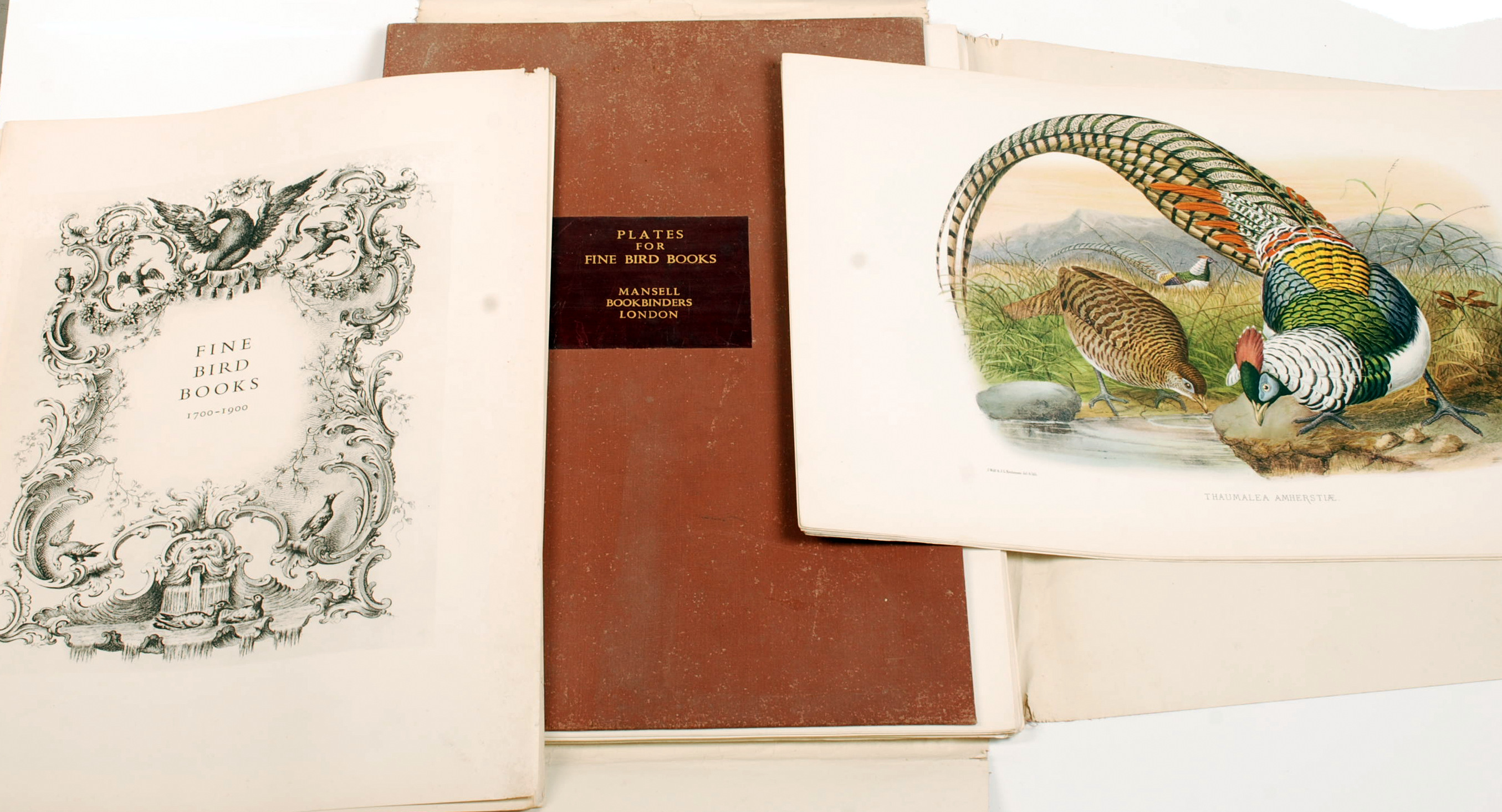 A folder of "Plates for Fine Bird Books" by Mansell Bookbinders, London.