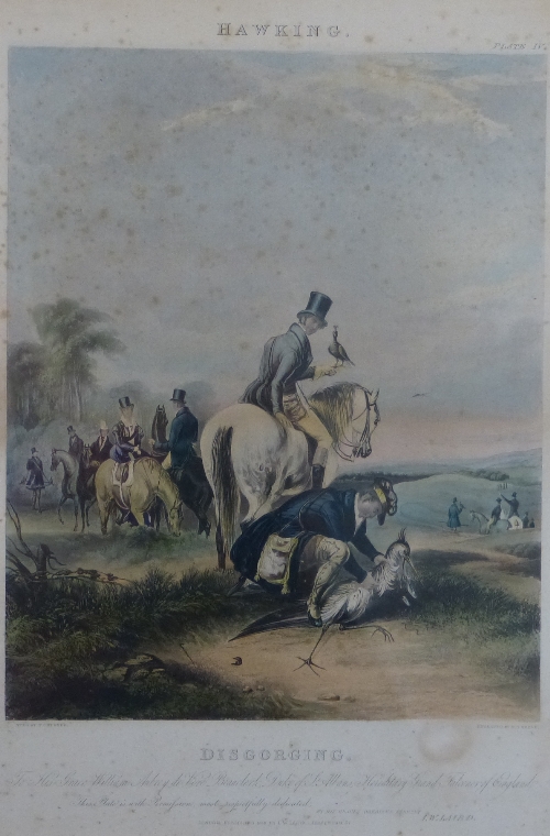After F C Turner, a set of four hand coloured hawking engravings by R G Reeve, published by I W