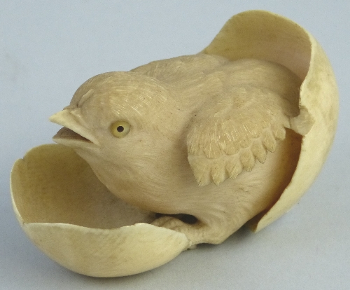 A Japanese ivory okimono, carved from the solid as a chick with inset mother of pearl eyes