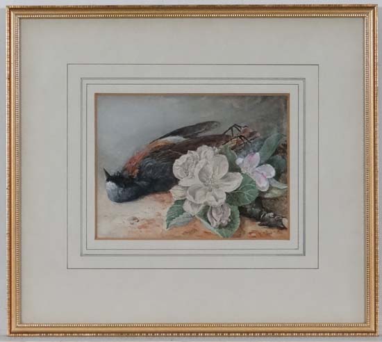 ERS 1878
Victorian Watercolour
Apple blossom and Red Start bird 
Initialled and dated lower right