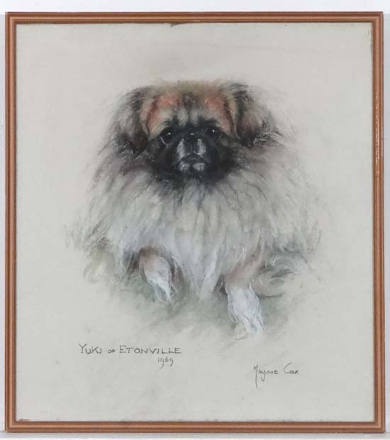 Marjorie Cox (1915-2003)
Pastel, Canine
Portrait  of  a Pekingese Dog
Signed lower right and dated