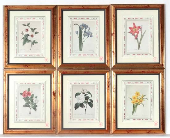 After Pierre-Joseph Redoute ( 1759-1840)
Limited Edition 6 prints 5369/7500
Les Belles Fleurs de