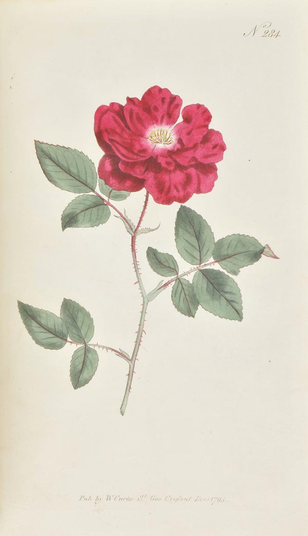 Curtis (William). The Botanical Magazine or Flower-Garden Displayed, 10 vols. (bound in five),