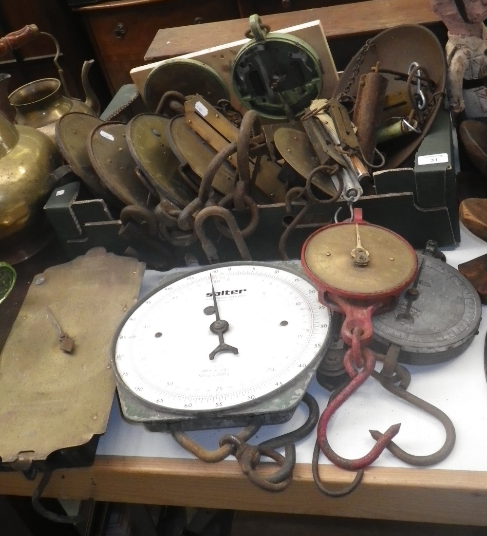 A large collection of brass faced Salter`s spring balances and others similar.