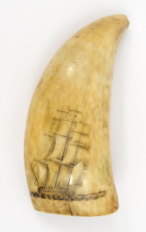 Antique scrimshaw decorated with a boat in full sail, 15cm long : FOR CONDITION REPORTS AND LIVE