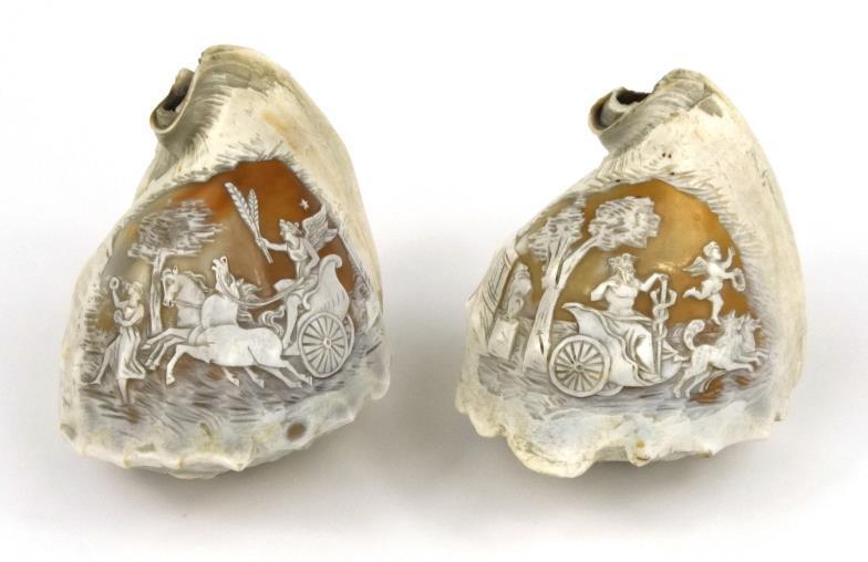 Two Italian cameo carved conch shells, decorated with Romanesque figures and chariots, each 13cm