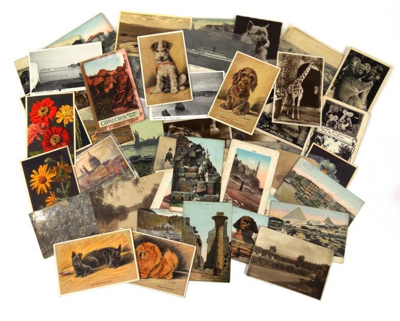 Collection of loose postcards including British and European topography, Egyptian topography, etc :