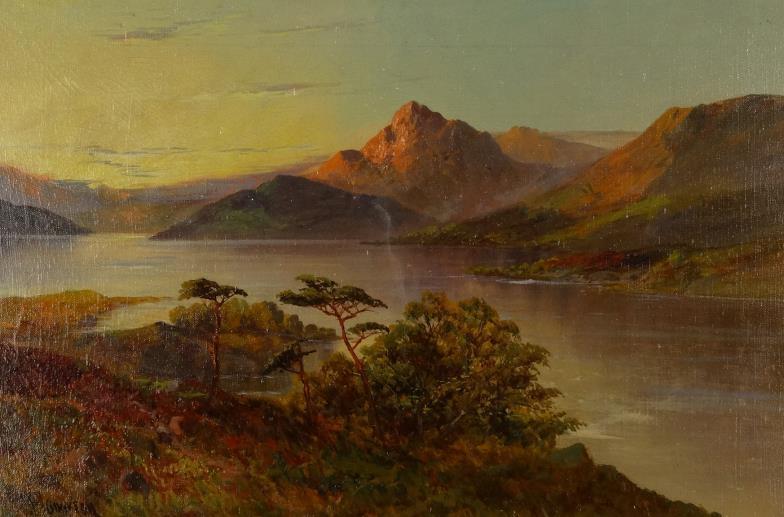 F. Jamieson - Oil onto canvas Highland lake view, signed, framed, 39cm x 59cm : For Condition