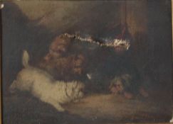 A 19th century oil on canvas study of playful dogs set within a gilt frame. 13.5cms x 19cms