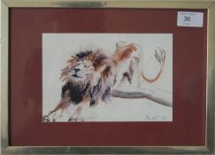 A framed and glazed watercolour of a lion signed to the corner, Priest 86. Measures 13cms x 19cms