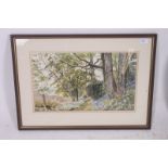 A framed and glazed watercolour by Sally J Maynard from Dulverton, Somerset ' Bluebell Wood, Nr