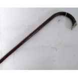 A silver tipped Blackthorn walking stick