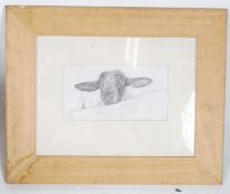 A framed and glazed contemporary limited edition print of a sheep  9/ 500 signed with monogram to