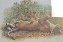 VIRGINIA MCKENNA: A 20th century hand signed print from the Born Free Foundation, being framed and