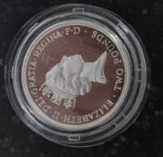 A Silver £2 1945 - 1995 Nations United for Peace coin.