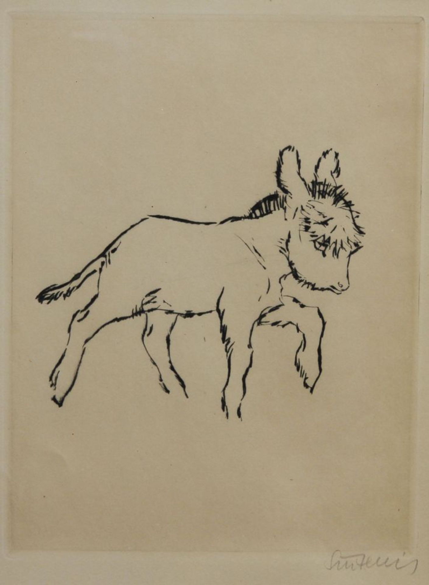 SINTENIS, RENÉE (1888 - 1965): Esel. Radierung, sign, ca. 22 x 17, gerahmt, gebräunt.
