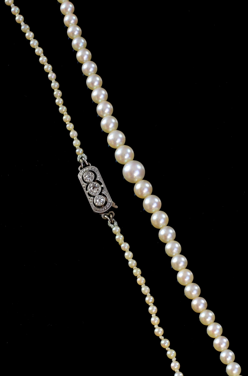 Edwardian pearl necklace with white gold clasp pearls 5.3 -2.2 mm clasp testing as 9ctTotal weight