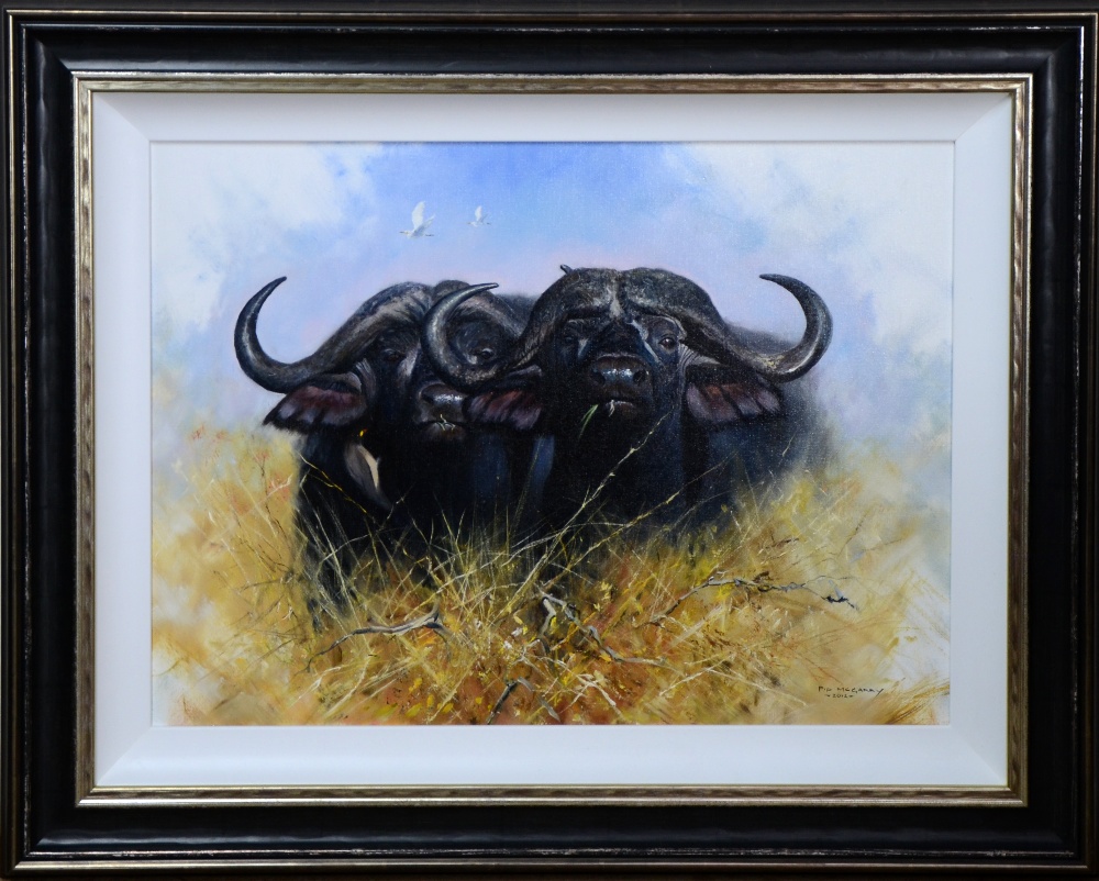 § Pip McGarry - Buffalo Brothers, oil on canvas, signed and dated 2012 18 x 24in. (46 x 61cm)