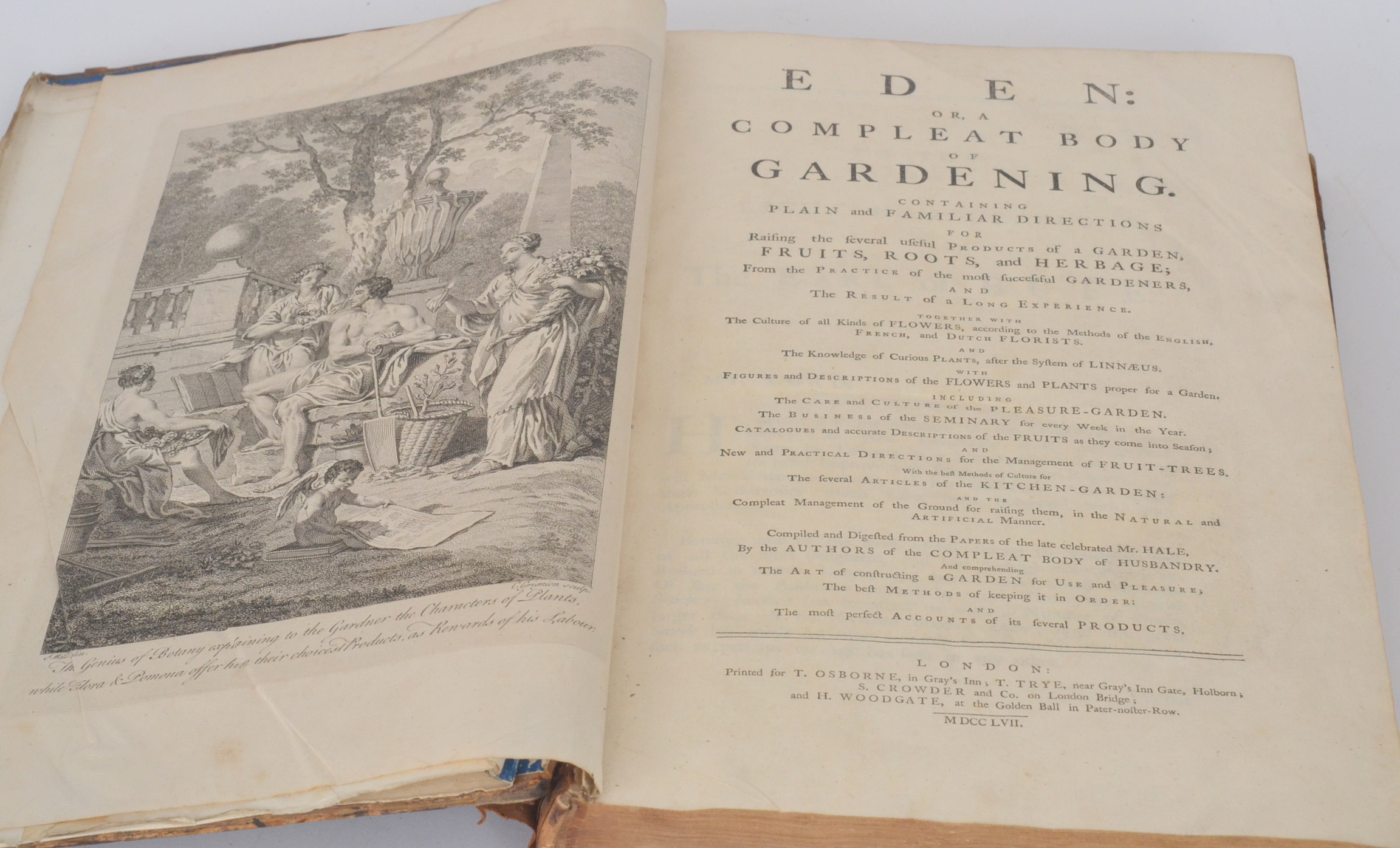 Hill`s - Eden or a Complete Body of Gardening, containing plain and familiar directions for fruits,