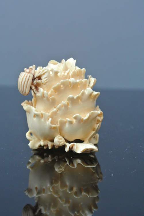 Japan School 19th century. A gorgeous carved ivory sculpture in the form of a flower, Japan 19th