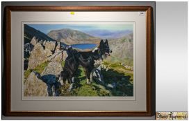Steven Townsend Limited Edition Signed Print 452/575. Signed in pencil lower left. Framed & mounted