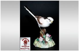 Royal Crown Derby Fine Bird Figure ` Long tail Tit ` Date 1952. Stands 5.25 Inches High.