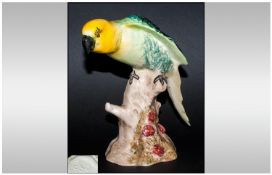 Beswick Bird Figure `Parakeet` Model Number 930. Designer A.Gredington, Issued 1941-1975. 6`` in