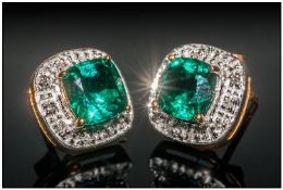 9ct Diamond And Gemset Earrings