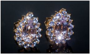 Rose de France Amethyst and Tanzanite Pear Shape Stud Earrings, central pear cut amethysts in the