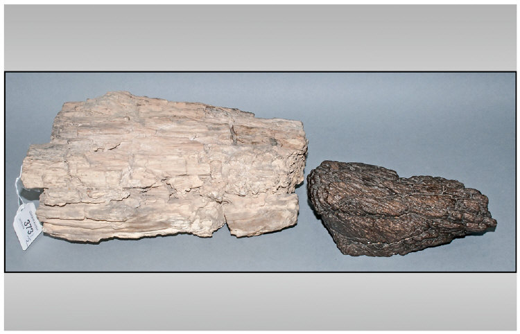 Two Unusual Pieces Of Fossilised Wood .Most probably found in the desert of Saudi Arabia.