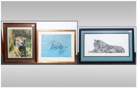 Three Framed Colour Tiger Prints, Largest approximately 26x33``.