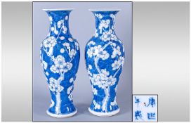 Pair of Late Nineteenth Century Chinese Vases of typical form, decorated in under glazed blue in the