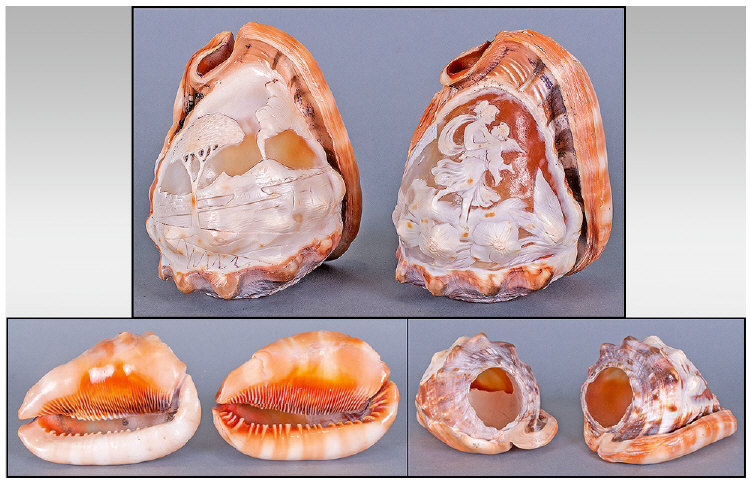 Pair Of Italian Conch Shells, carved with cameo vignettes depicting Pyshic and Venus, and mount