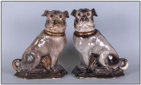 Pair Of Antique Staffordshire Pottery Pug Dogs Of Unusual Size. In a seated position, with glass