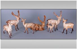 A Good Collection Of Beswick Stag And Deer Figures, 7 In Total. Various models and sizes. All in