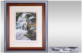 Steven Townsend Limited Edition Signed Colour Print Kingfisher in Woodland Stream`. Signed in