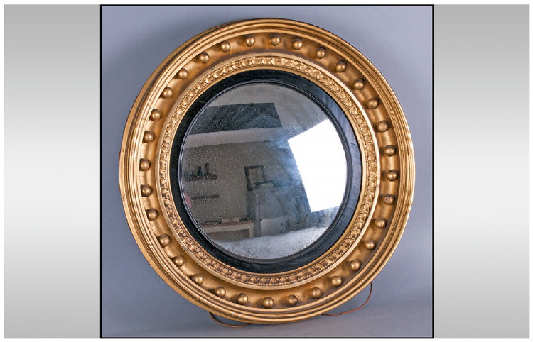 A Regency Convex Gilded Circular Mirror, of unusual size. In gilt frame, 19 inches in diameter.