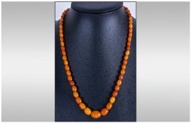 Antique Graduated Natural Coloured Amber Bead Necklace, butterscotch colour. With silver coloured