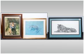 Three Framed Colour Tiger Prints, Largest approximately 26x33``.