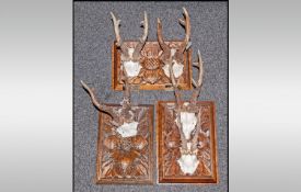 Three Carved Oak Panels Mounted With Small Deer Heads With Antlers with engraved plaques `